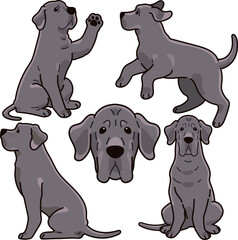 Simple and adorable Great Dane illustrations