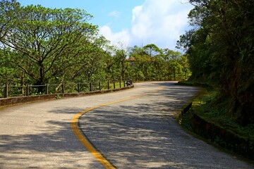 Caminho do Mar, an old link between the coast and the interior of Brazil. Curves in the historic road that crosses the Atlantic Forest. Green trees, lichens in the gutters, fresh air and peace