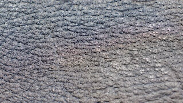 Skin surface texture close up