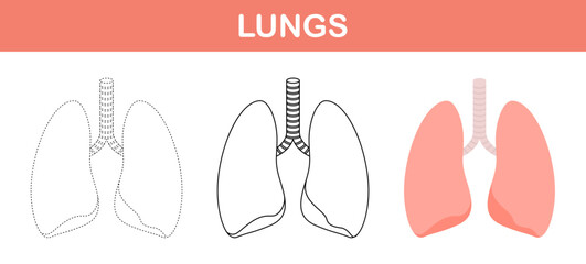 Lungs tracing and coloring worksheet for kids
