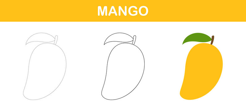 Details 68+ mango line drawing latest - xkldase.edu.vn