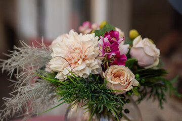 Delightful flowers in daylight close-up.