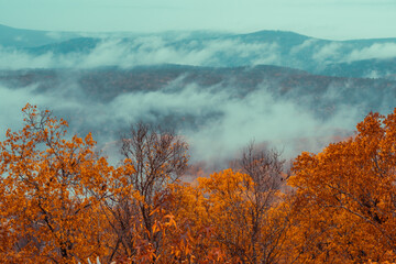 Ozark Mountain Foggy overlook scenic vista form Arkansans during fall. 