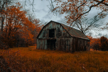 An old rustic barn decorates the farmland of Arkansas during fall with autumn colored trees with...