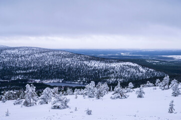 View over mountains and forest. Levi, Kittilä, Finland