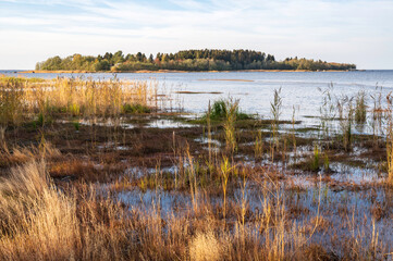 Coastal wetland and view of an island. Storsand, Nykarleby/Uusikaarlepyy. Finland