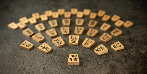 逆境（四面楚歌の王将）