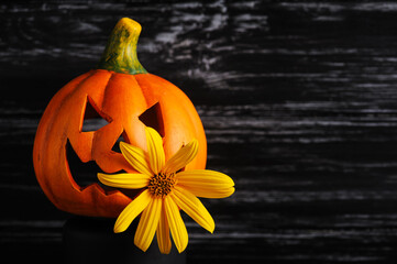 Fall decoration with orange pumpkin and yellow chrysanthemum