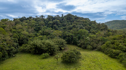 Fototapeta na wymiar Rural area destined for restoration of native forest in the municipality of Casimiro de Abreu, Rio de Janeiro. 