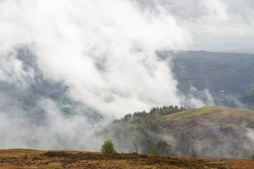 Dramatic Water vapour mist steam rising from hill and wood after rain storm.
