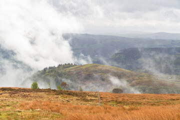 Fototapeta na wymiar Dramatic Water vapour mist steam rising from hill and wood after rain storm.