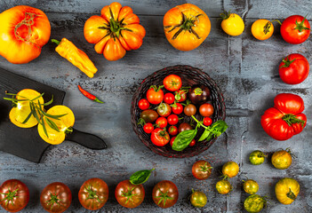 Obraz na płótnie Canvas Presentation of old tomatoes lined up all around a gray background.