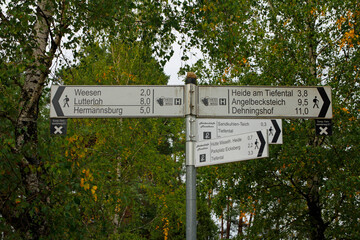 in der lüneburger heide