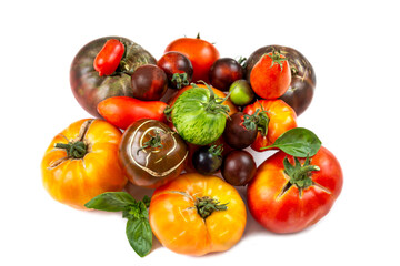 Main varieties of old tomatoes