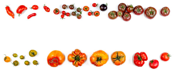Panoramic of old tomatoes lined up at the top and bottom.