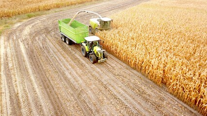 Maize chopper and tractor in a field at harvest work, biomass, biogas, energy crop, agriculture,...