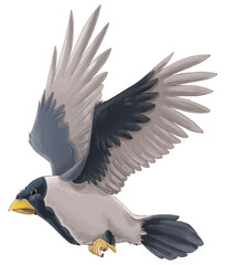 Cartoon exotic colorful bird flying isolated illustration for children