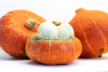 three decorative pumpkins on a white background