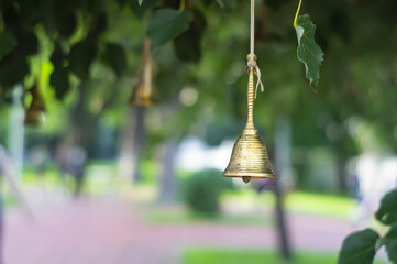 A cute little windbell hanging from a branch. Bells on the branches of the tree in the courtyard of...