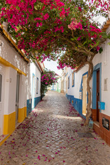 In the narrow and flowery streets of Ferragudo, Algarve, Portugal