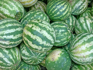 Several large sweet green watermelons and cut watermelons, several large sweet green watermelons are placed on a wooden table on a natural background for sale.