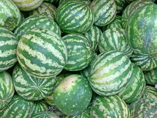 Several large sweet green watermelons and cut watermelons, several large sweet green watermelons are placed on a wooden table on a natural background for sale.