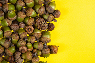 Autumn festive background. Acorns on an yellow paper and copy space