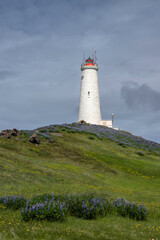 Fototapeta na wymiar Reykjanes Lighthouse on a tall hill surrounded by lupine in Keflavík, Iceland