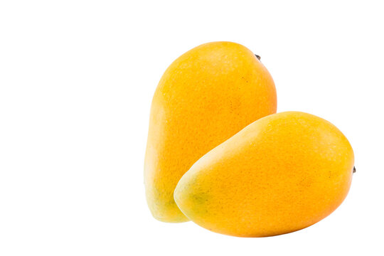 The king of fruits is mango