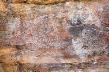 Aboriginal rock art: X-ray style painting of a white-infilled, red-otulined crocodile figure. Ubirr-Kakadu-Australia-198