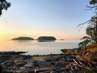 Beautiful landscape views of an island shore surrounded by beautiful arbutus trees and dry yellow grass, with the ocean in the background, in the gulf islands, british columbia, canada