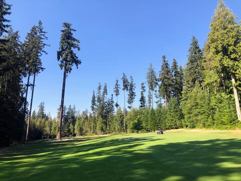 A beautiful view of a par 4 hole on a golf course on  a beautiful sunny day surrounded by tall pine trees, along the sunshine coast, british columbia, Canada