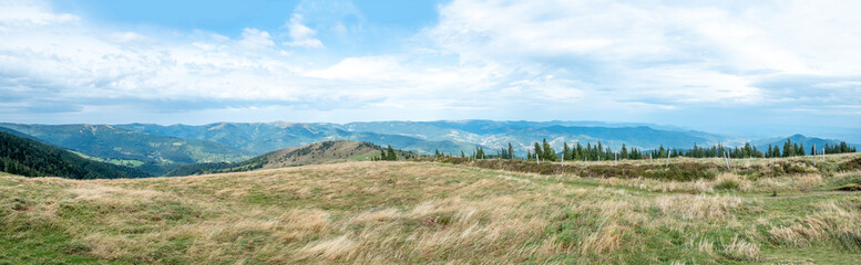 Landscape in the Vosges and view from the Petit Ballon d'Alsace - obrazy, fototapety, plakaty