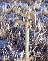 Frost on an outdoor spigot nearly blends the metal item into the whitened foilage.