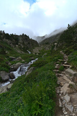 Fototapeta na wymiar Wild Landcape in Andorra during spring season : water spring flowing down the mountains during foggy morning