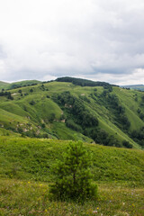 Fototapeta na wymiar Panoramic top view of a beautiful valley with trees and hills and a blurred horizon against a cloudy dramatic sky in Kislovodsk russia