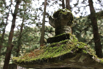 Shrine in the woods