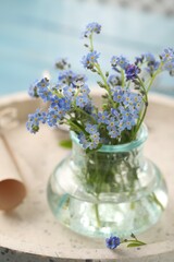 Beautiful Forget-me-not flowers in vase on tray