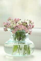 Beautiful Forget-me-not flowers in vase on window sill