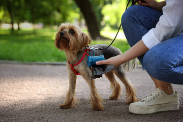 Woman with cute dog taking waste bag from holder in park, closeup