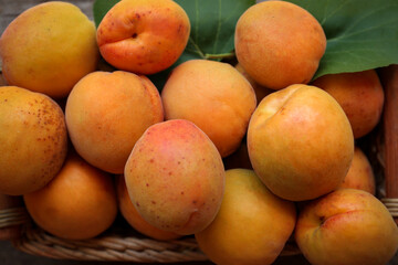 Basket with delicious ripe apricots, top view