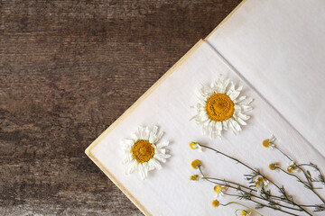 Open book with beautiful dried flowers on wooden table, top view. Space for text