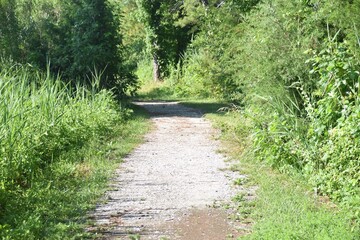Beach sand walkway path water 