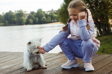 A girl with pigtails plays with a small white dog and smiles happily.