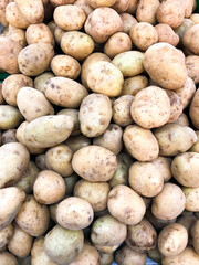 Basket of raw yellow potatoes