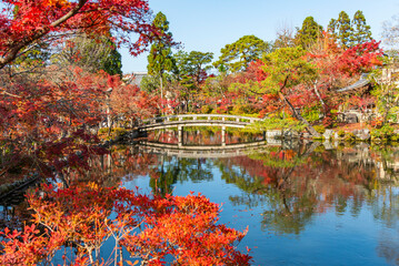 Reflection of Stone Bridge with Autumn Red Maple Leaves in the pond of Eikando Temple, One of Famous Tourist Destination in Kyoto 