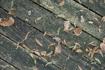 Rustic Wood Plank Background