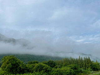 Mountains is surrounded by sea of mist in the morning.