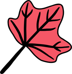 simplicity maple leaf freehand drawing flat design.