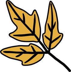 simplicity maple leaf freehand drawing flat design.
